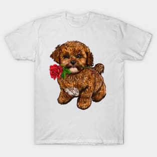 The Best Valentine’s Day Gift ideas, cavalier king charles spaniel Cute puppy dog 2 love heart sweetheart with red rose in its mouth. Cavapoochon Cavapoo dog Valentine’s Day T-Shirt